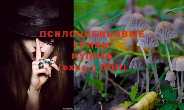 гашиш Арсеньев