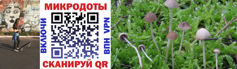 Галлюциногенные грибы Psilocybine cubensis  Купить закладки  Дубовка 